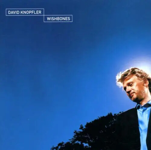 David knopfler wishbones - cd,