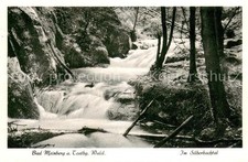 Bad Meinberg Waldpartie Teutoburger Wald Bachlauf Wasserfall
