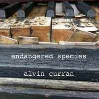Alvin curran yamaha - alvin, curran,