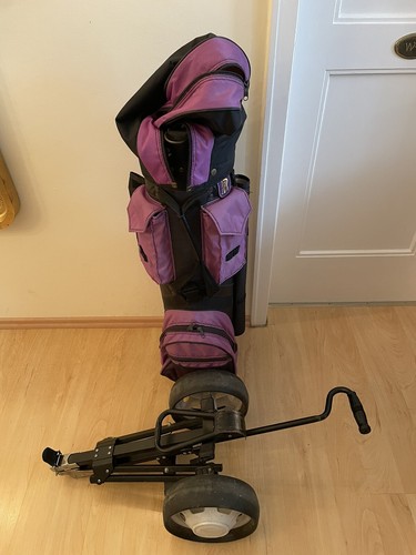 Golfbag pro ace - pro, inkl.