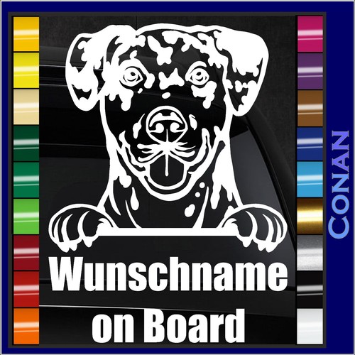 Catahoula leopard auto - leopard,