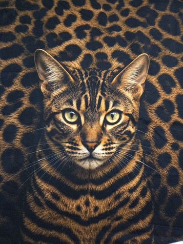 Sommersweat panele leo animal - panele,