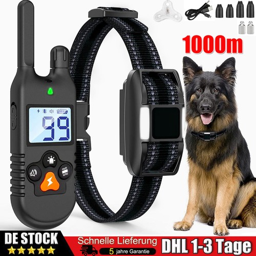 1000m hund ausbildung - 1000m,