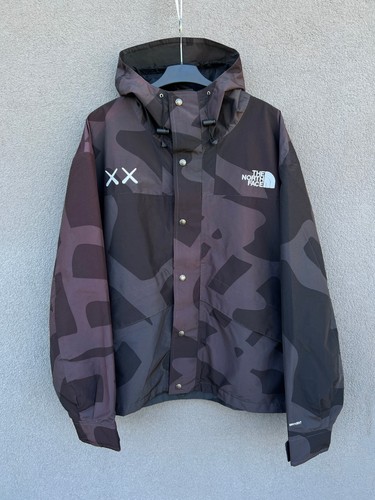 Kaws the north face - north,