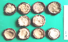 10  große Rosen  - Rosetten - Kronen - ca. 60 - 70 mm Ø vom Geweih-Abwurfstangen