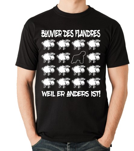 Black sheep bouvier des - sheep,