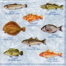 3 Servietten ~ Maritim, Fische, verschiedene Fischarten ~ 33x33
