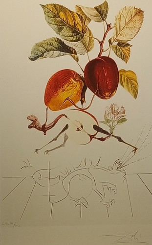Salvador dali flordali - salvador, dragon