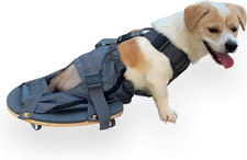 Pet Scooter Wheelchair for
