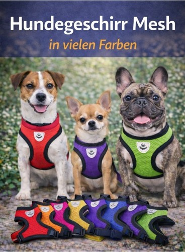 Hundegeschirr mit leine mash - hundegeschirr,
