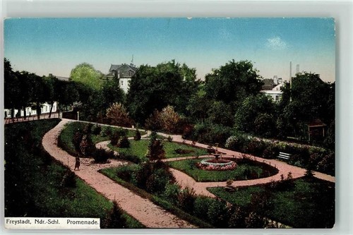 Freystadt kisielice park - kisielice,