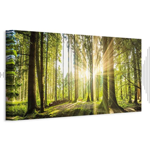 Akustikbild pro wandbild - pro,
