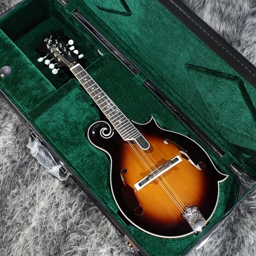 Epiphone inspiriert von gibson - epiphone,