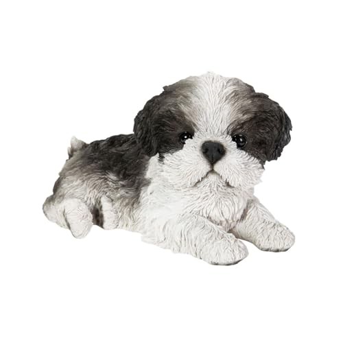 Ubia relax shih - relax,