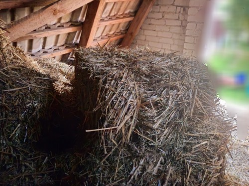 Stroh kleine ballen - stroh,