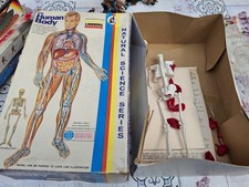 Lindberg (USA) the Human Body (Scale 1/6) OVP 1302