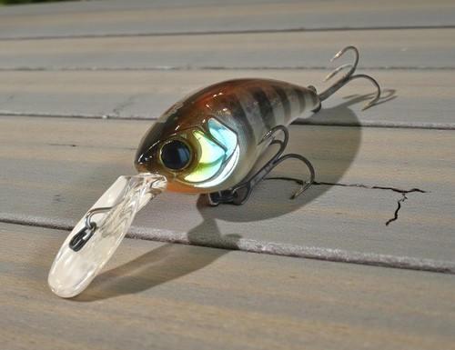 Illex jackall mushbob - illex,