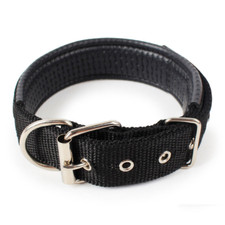 Hundehalsband Robust Verstellbar mit D-Ring Nylon Welpen Gepolstertes Halsband