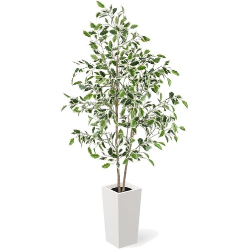 Kunstpflanze ficus benjamini - kunstpflanze,