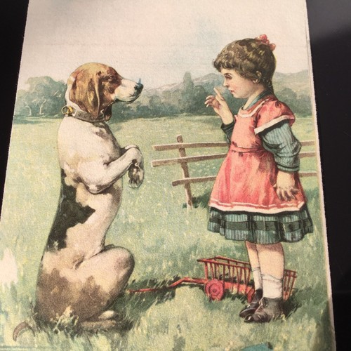 Cpa alter hund - und, kleines