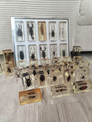 Mini biester sammlung - sammlung, stk