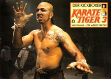 Karate Tiger 3 - Der Kickboxer