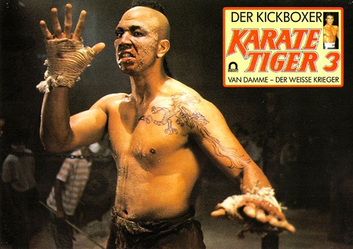 Karate tiger der kickboxer - karate,