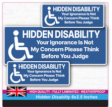 Your Ignorance Is Not My Concern - Hidden Disability Sticker - Cars, Vans