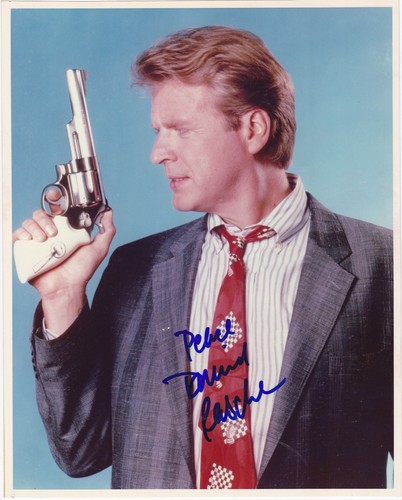 David rasche sledge hammer - david,