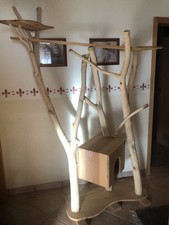 Wunderschöner Naturkratzbaum