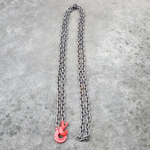 Forstkette rückekette - 5m,