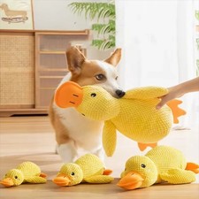 Anti stress ente hund - stress,