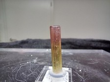 Turmalin 2farbig - Malyska-Mine östl. Pamir  - Tajikistan - ehem. UDSSR