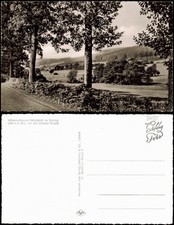 Neuhaus im Solling-Holzminden An der Uslarer Straße Panorama-Ansicht 1960
