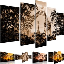 Bilder Giraffen Afrika Tiere Leinwandbild