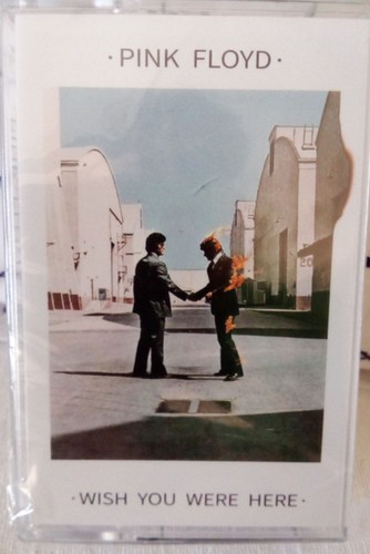 Pink floyd wish - wish, were