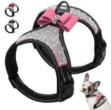 Luxusgeschirr für kleinen