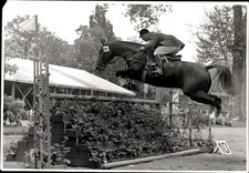 Foto Reitturnier Hannover