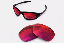 newpolar polarisierte