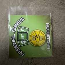 BVB Borussia Dortmund Football