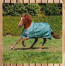 BUCAS Freedom Turnout light