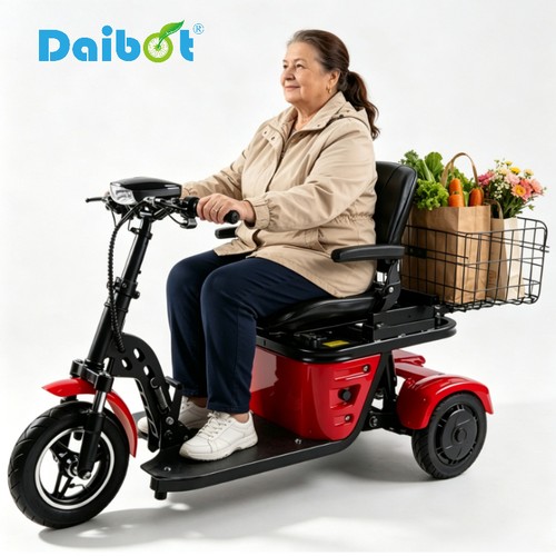 Daibot 500w 36v rad - rad, roller