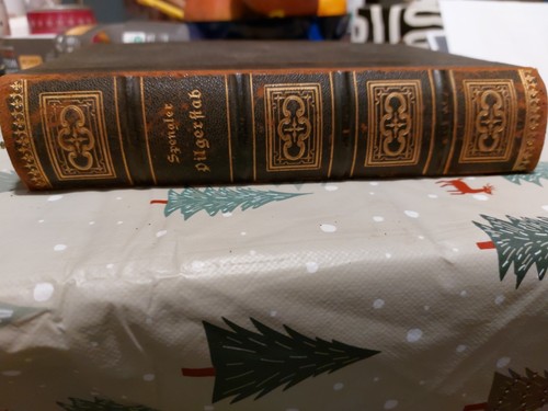 Antikes buch von 1894 - buch,