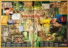 ✿Wissens-Poster TARNUNG BEI TIEREN✿Viren+Körper-Abwehr Teil 2✿Medizini✿01.2013✿