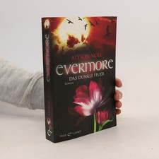 Evermore: Das dunkle Feuer 