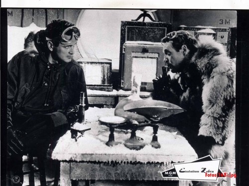 Rock hudson eisstation zebra - hudson,