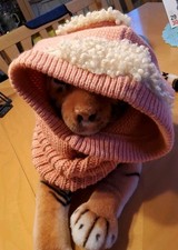  Niedliche Schalmütze Schlupfmütze Wintermütze lachsfarben Ohren One Size