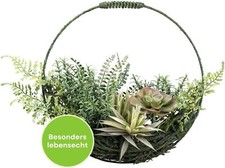 Türkranz CREATIV green Deko Hängedeko Kunst-Sukkulenten 35 cm Immergrün B-WARE