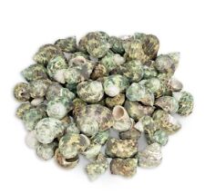 NaDeco Turbo sparverius, 0,5kg