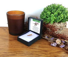 100% Original Spinosaurus Zahn